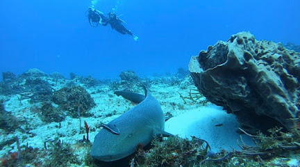 Barefoot Dive Center Cozumel